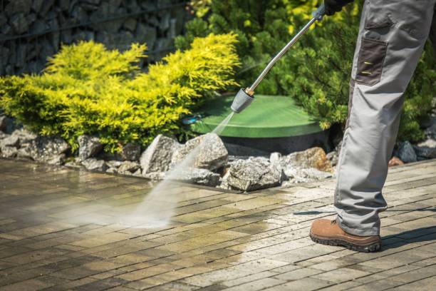 Best Pre-Holiday Cleaning  in Fox Point, WI